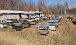 1526718599623309.jpg 微信圖片_20180519162938.jpg