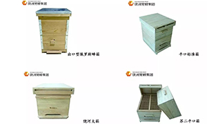 1526719489741208.jpg 微信圖片_20180519164428.jpg