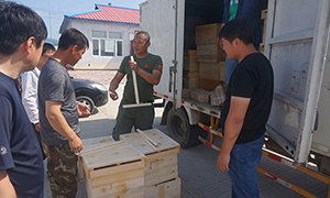 1527926215718861.jpg 3.jpg