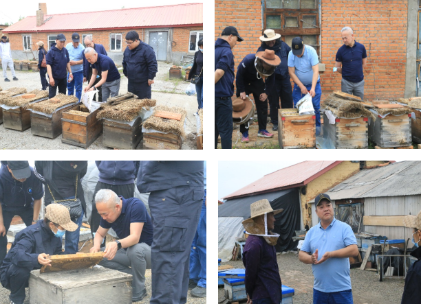 1653961817271587.png image.png