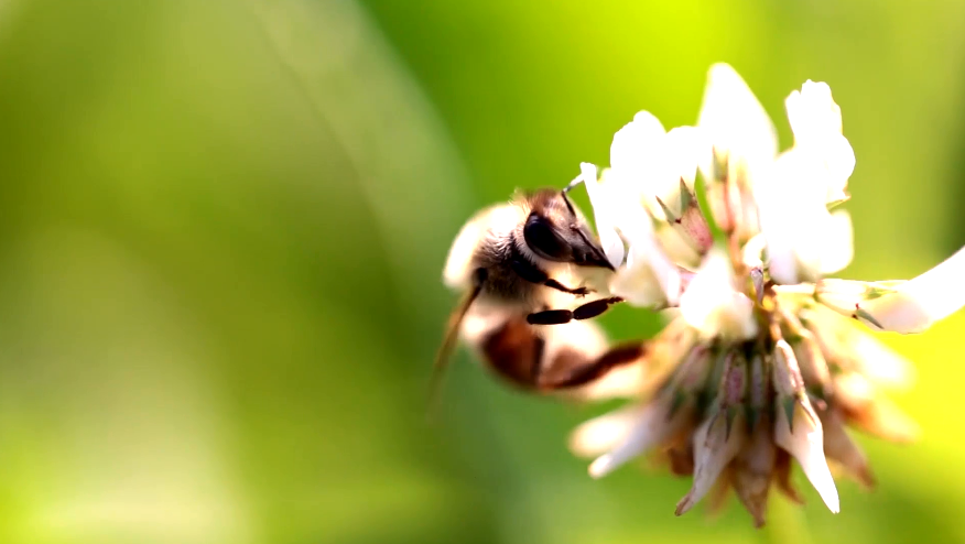 1657087264237892.png image.png