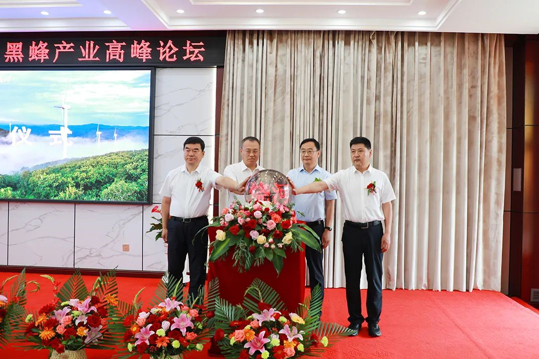 1658189804900104.png image.png